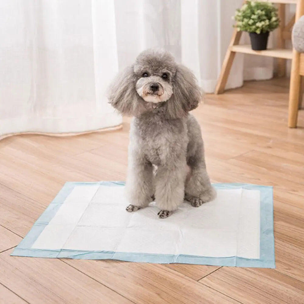 50X Large Puppy Training Trainer Train Pads Toilet Pee Wee Poo Dog Pet Cat Mats